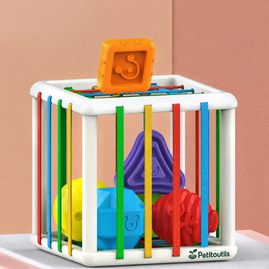 Boîte à formes et jeu de tri — Petitoutils