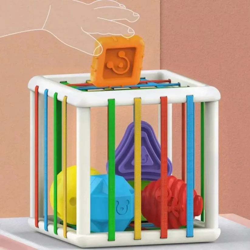 Boîte à formes et jeu de tri — vue principale
