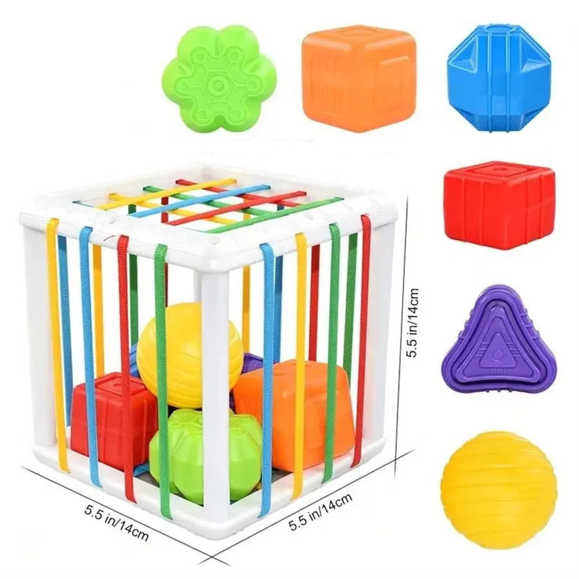 Boîte à formes et jeu de tri — détails